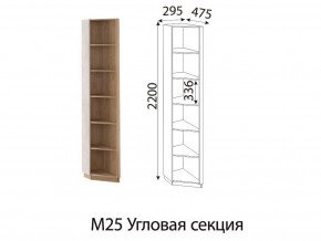 М25 Угловая секция в Верхней Туре - verhnyaya-tura.magazinmebel.ru | фото