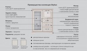 Прихожая модульная Стилиус в Верхней Туре - verhnyaya-tura.magazinmebel.ru | фото - изображение 2